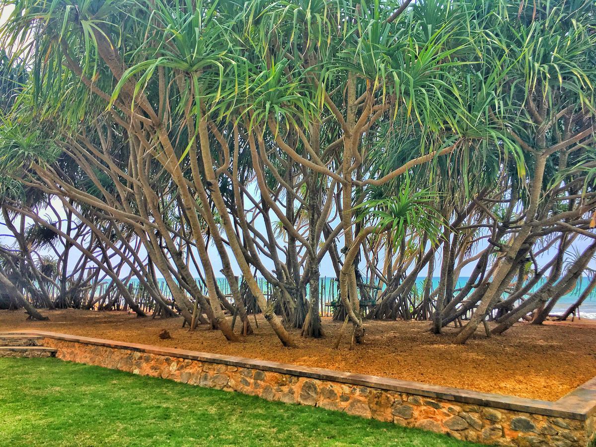The Pleasure Kosgoda Bentota Exterior foto
